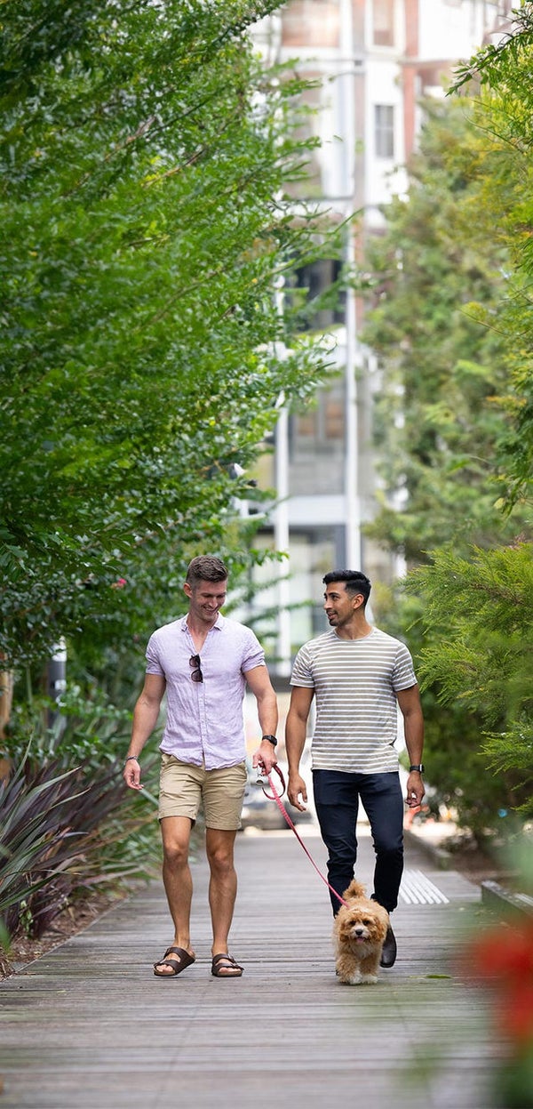 Medical Loans Pepper Money Pepper Money